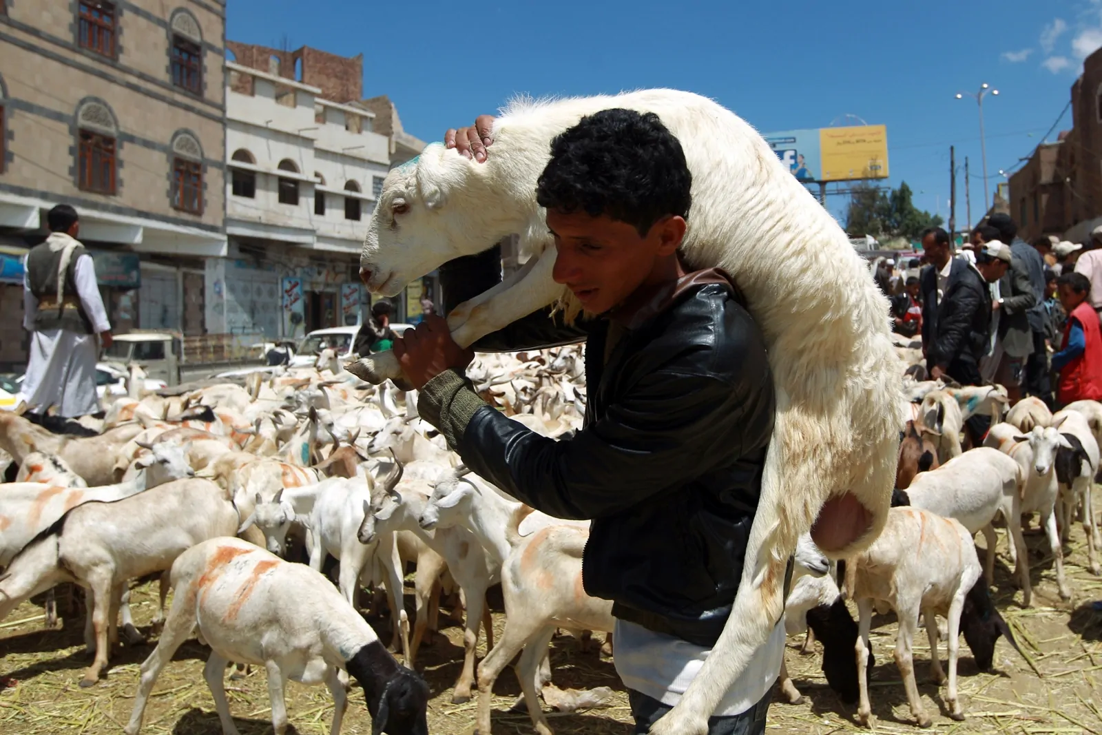 Tantangan dan Kondisi Qurban di Timur Tengah