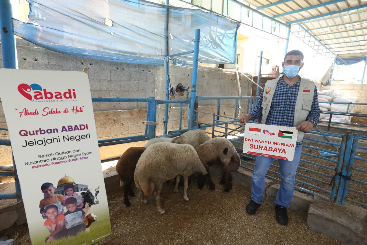Daftar Harga Kambing dan Sapi Qurban ABADI di Berbagai Negara