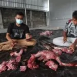 Manfaat dan Hukum Sedekah Qurban