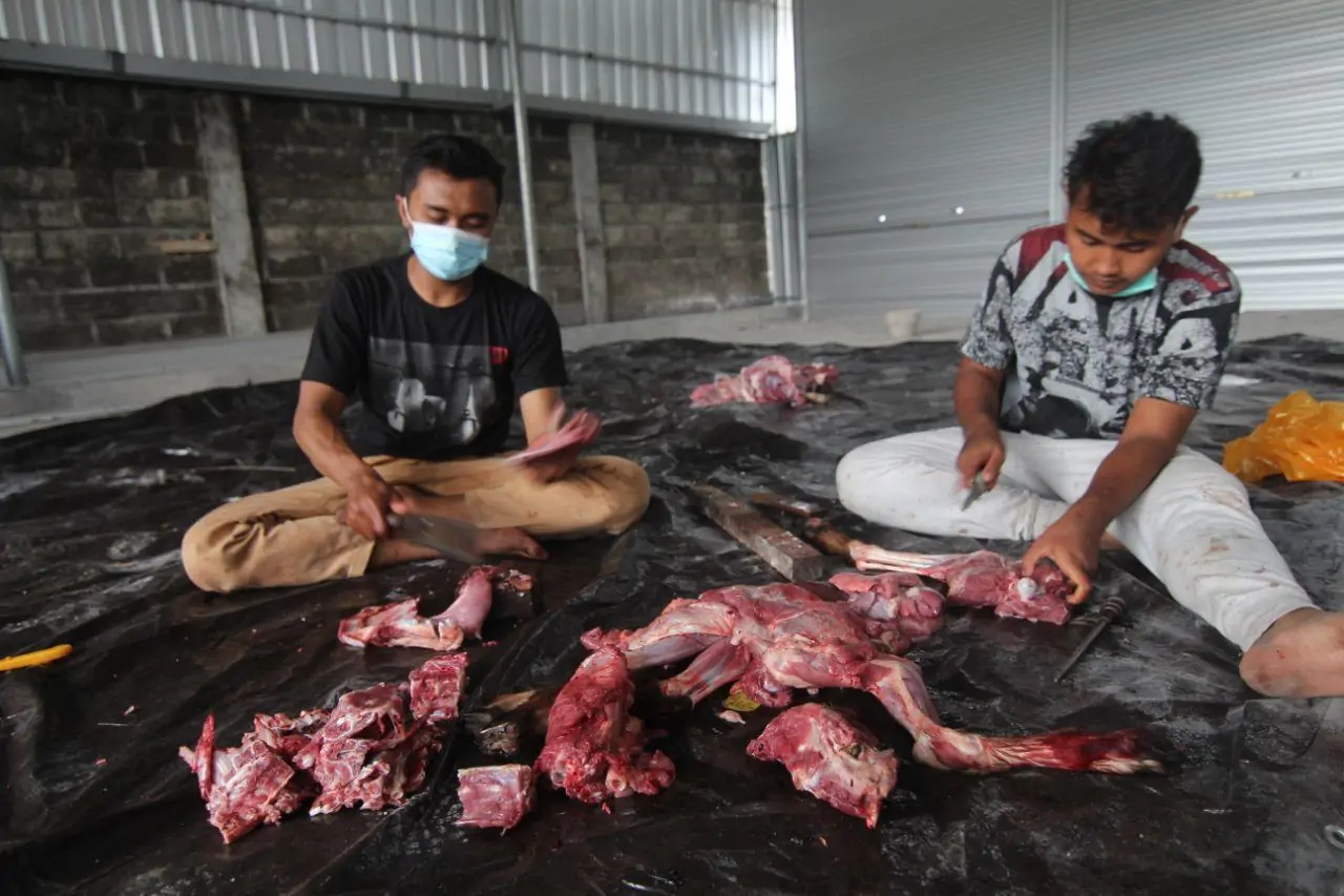 Manfaat dan Hukum Sedekah Qurban