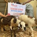 Daftar Penyaluran Amal Bakti Dunia Islam